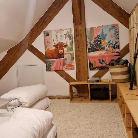 Prázdninový dům La Maison Du Caboteur- Plein Centre 8p Le Pouliguen